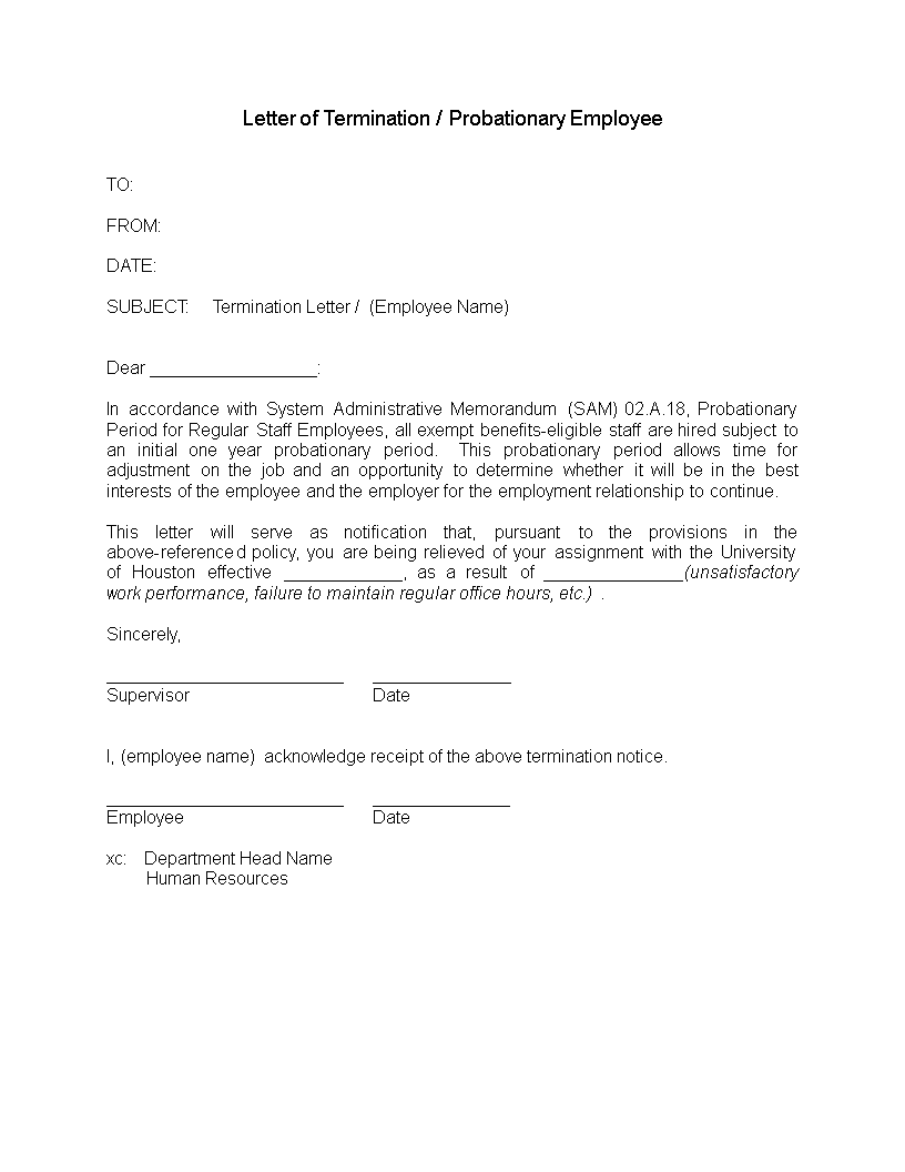 Probationary Period Letter autosazgard